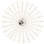 PNG-WEB-&-SPIDER.png PNG-WEB-&-SPIDER.png