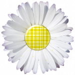 d3 DAISY-YELLOW-PLAID-PNG.png