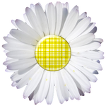 d3 DAISY-YELLOW-PLAID-PNG.png d3 DAISY-YELLOW-PLAID-PNG.png
