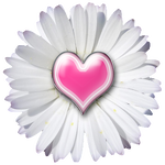PNK-HRT-DAISY-GE.png