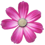 BRAD-FL-PINK-BRT-GE.png