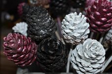 pine-cones-pinecones-pine-cones-decorative-decoration-nature-pinecone-holiday.jpg