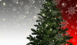 christmas-fir-tree-mockup-star-ice-crystal-snowflakes-winter-christmas-tree-advent.jpg