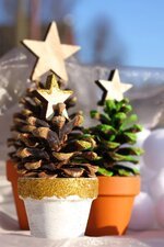 fir-tree-pine-cones-star-pot-clay-pot-tannenzweig-advent-christmas-time-christmas.jpg