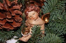 angel-christmas-fir-tree-fir-green-pine-cones.jpg
