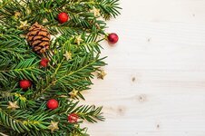 berry-branch-christmas-christmas-balls-christmas-tree-conifer-coniferous-decoration-fir.jpg