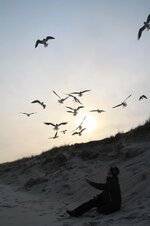 bird-action-nature-sky-dom-gulls-beach-twilight-flying.jpg