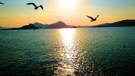 sunset-gulls-ocean.jpg