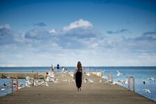 animals-birds-clouds-gulls-ocean-person-pier-sea-seagulls.jpg