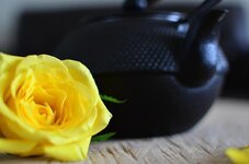 rose-yellow-tea-pot-flower-flora-romantic-beauty-flowers-close-up.jpg