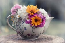 bouquet-flowers-teapot-vase-flower-nature-close-up-wood-material.jpg