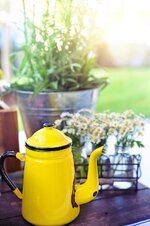 coffee-pot-tea-pot-yellow-flowers-summer-drink-relax-breakfast-beverage.jpg