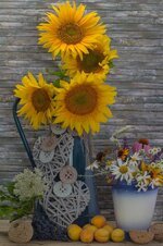 still-life-sunflower-flowers-apricots-deco-yellow-water-jug.jpg