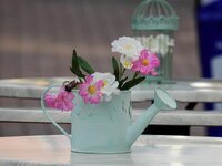 gies-jug-flowers-deco-decoration-plant-beautiful-background.jpg
