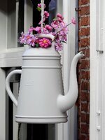 gies-jug-flowers-deco-decoration-plant-beautiful-background-teapot-pot.jpg