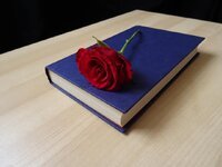 rose-book-romance-novel-vintage-romance-valentine-flower-literature-reading.jpg