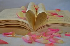 book-heart-the-heart-of-romantic-romance-valentine-heart-shape-love-in-love.jpg