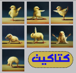 صور كتكوت #كتاكيت #فرخ #فراخ