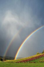 rainbow-rain-landscape-nature-mood-sky-rainbow-colors-natural-phenomenon-double-rainbow.jpg