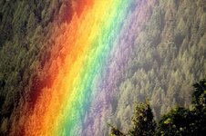 rainbow-mood-natural-spectacle-natural-phenomenon-color-nature-weather-weather-phenomenon-rain...jpg
