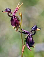 image81y7ad81iw.jpg image81y7ad81iw.jpg