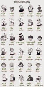 الوظائف بالانجليزية Occupation