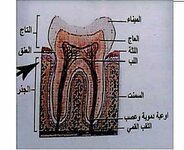 3D06C9E2-9FE4-451A-B5CC-4B0F75EDA8BB.jpeg