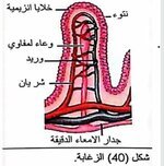 FFCCAE1D-7A43-44E5-87D9-AD878E9AD669.jpeg