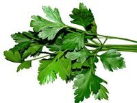 فوائد البقدونس.. ❣️