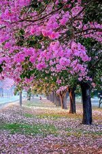 طرق تساعدك في التخلص من المشاعر السلبية
 🌼