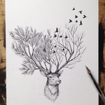 رسومات بالقلم الرصاص إبداعية تمزج بين الطبيعة والحياة البرية