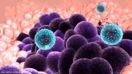 باحثون يصممون " انزيم" لمعالجة سرطان الثدي