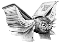 1655321537513.png