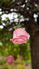 IMG_20220620_082307_366.jpg