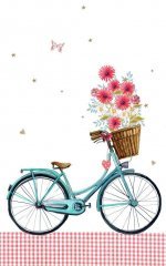 20 WALLPAPERS FOFOS PARA CELULAR-bicicleta-fofa.jpg