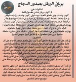 FB_IMG_1656936684406.jpg
