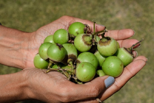 1658580589368.png 1658580589368.png