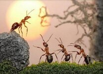 أحسن وباذر ونبه وانصح