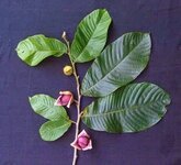 200.JPG 200.JPG