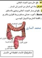 ٢٠١٩-٠٦-١٩ ١٤.١٨.٣٣.jpg
