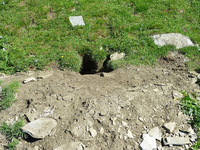 1662405986352.png 1662405986352.png