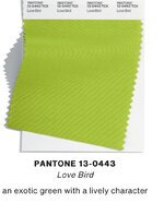8CD1509A-DA00-4210-92D8-846C585E4956.jpeg