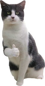 1664039517291.png