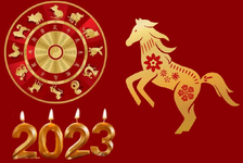 1667475771980.png