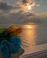 IMG_20221022_191128_402.jpg
