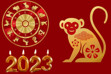 1667636829922.png