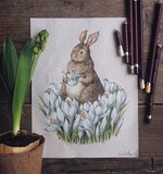 fairytale-illustrations-color-pencil-lia-selina-1.jpg