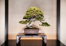 1669817633962.png 1669817633962.png