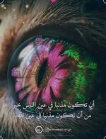 IMG_20221215_170338_076.jpg