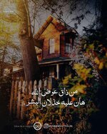 IMG_20221215_170337_538.jpg